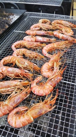 IMG_1664.JPG