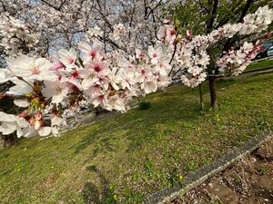 IMG_2872.JPG